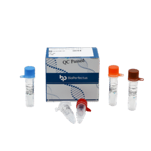 Kit PCR em Tempo Real para Vírus Sindbis