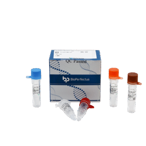 Kit PCR em Tempo Real para Vírus da Encefalite Transmitida por Carrapatos