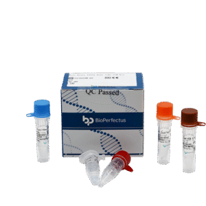 Kit PCR em Tempo Real para Ross River Virus