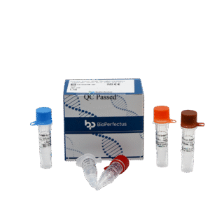 Kit PCR em Tempo Real para Vírus da Síndrome Febril Grave com Trombocitopenia (SFTSV)