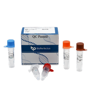 Kit PCR em Tempo Real para Vírus da Encefalite Japonesa