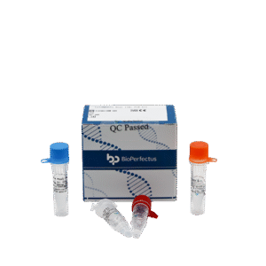 Kit PCR em Tempo Real para Leishmania