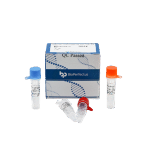 Kit PCR em Tempo Real para Anaplasma Phagocytophilum