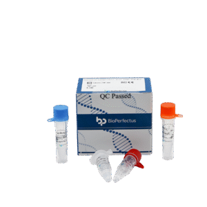 Kit PCR em Tempo Real para Borrelia burgdorferi