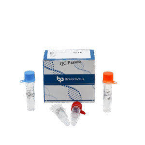 Kit PCR em Tempo Real para Francisella tularensis