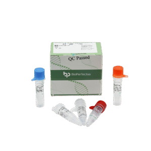 Kit de PCR em Tempo Real para Vírus da Influenza B (Linhagens Victoria & Yamagata)