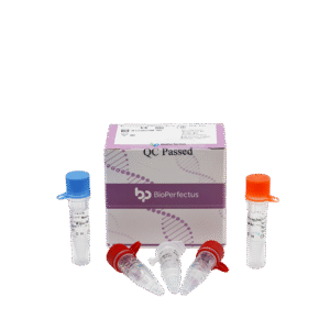 Kit de PCR em Tempo Real para Mycoplasma Hominis