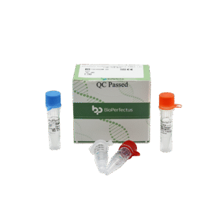 Painel de Bactérias Respiratórias Allfastra (3) Kit de PCR em Tempo Real