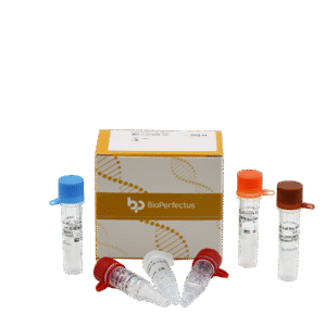 Kit PCR em Tempo Real para Norovírus