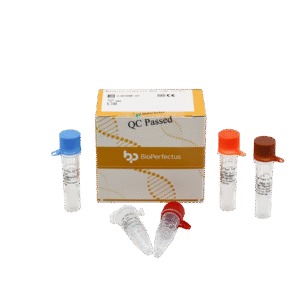 Kit PCR em Tempo Real para Norovírus GI e GII