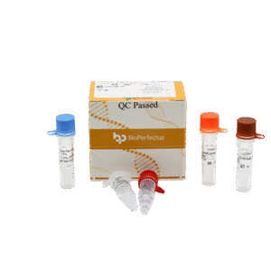 Kit PCR em Tempo Real para CoxA16/EV71/EV-U