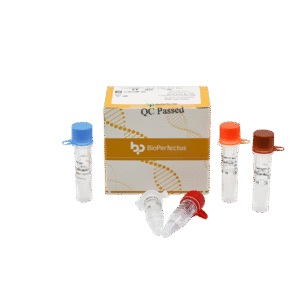 Kit PCR em Tempo Real para CoxA16 & EV71