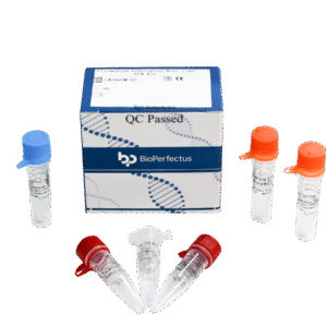 Kit de PCR em Tempo Real para Genotipagem de Plasmodium