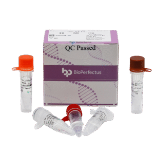 Kit de PCR em Tempo Real para Vírus Herpes Simplex Tipo I/II