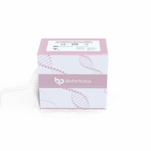 Kit de PCR em Tempo Real para Detecção do Gene Survival Motor Neuron 1 (SMN1)