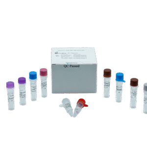 Kit PCR em Tempo Real para Vírus da Hepatite C (HCV) – RUO