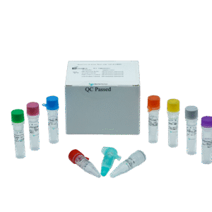 Kit PCR em Tempo Real para Vírus da Hepatite B (HBV) – RUO