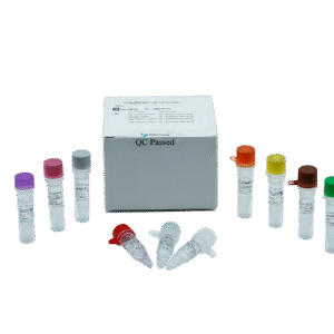 Kit RT-PCR Quantitativo para HIV-1 - RUO