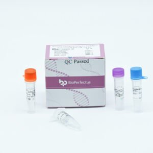 Kit de PCR em Tempo Real para Neisseria Gonorrhoeae / Chlamydia Trachomatis / Ureaplasma Urealyticum