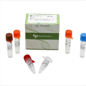 Painel de Vírus Respiratórios (7) Kit de PCR em Tempo Real