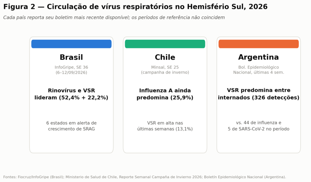 Comparação da circulação de vírus respiratórios entre Brasil, Chile e Argentina em 2026, no Brasil rinovírus e VSR lideram com 52,4% e 22,2%, no Chile a influenza A ainda predomina com 25,9%, e na Argentina o VSR predomina entre os casos hospitalizados com 326 detecções contra 44 de influenza.)