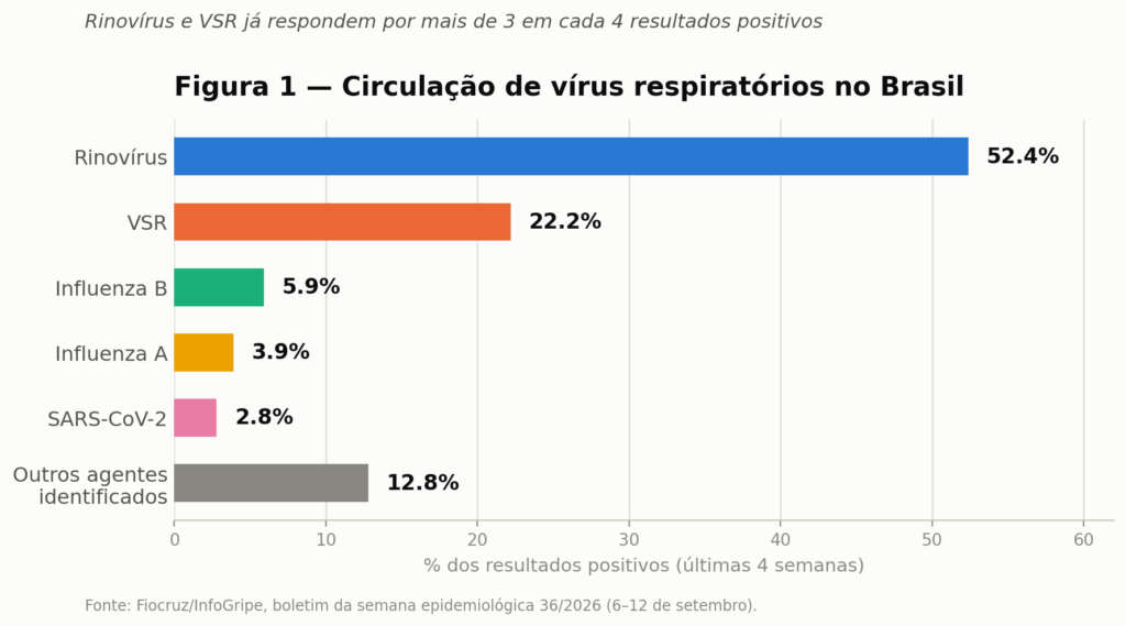 Gráfico de barras mostrando a circulação de vírus respiratórios no Brasil na semana epidemiológica 36 de 2026, rinovírus 52,4%, VSR 22,2%, influenza B 5,9%, influenza A 3,9%, SARS-CoV-2 2,8% e outros agentes 12,8%, segundo boletim InfoGripe da Fiocruz.)